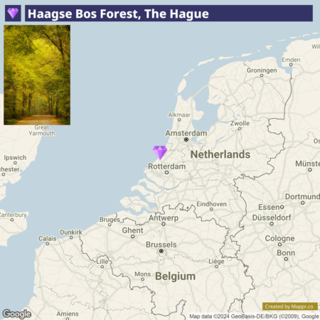 A map showing the Netherlands with a pin on The Hague and a marked area for Haagse Bos Forest, accompanied by an inset photo of a tree-lined path in the forest.