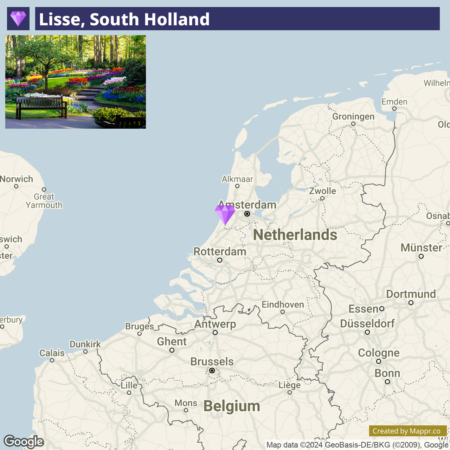 An inset image in the upper left corner shows a vibrant flower garden, while a larger map illustrates the location of Lisse in South Holland, marked with a purple pin, amidst the surrounding geography of the Netherlands and parts of Belgium.