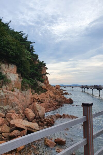 A scenic coastal view with a rocky shoreline and a wooden pier extending into the water, surrounded by trees on a cloudy day.