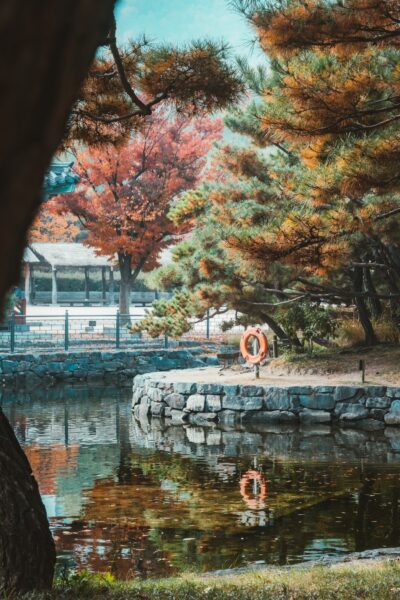 A serene autumnal scene featuring a tranquil pond surrounded by trees with varying shades of red and green foliage, a traditional Korean gazebo in the background, and a lifebuoy attached to a tree by the water's edge, with the colors of the scene reflected in the still water.