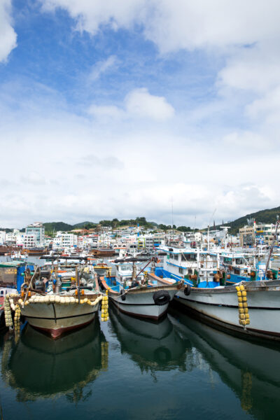 A busy fishing port with numerous moored boats against a background of a coastal town and a partly cloudy sky.