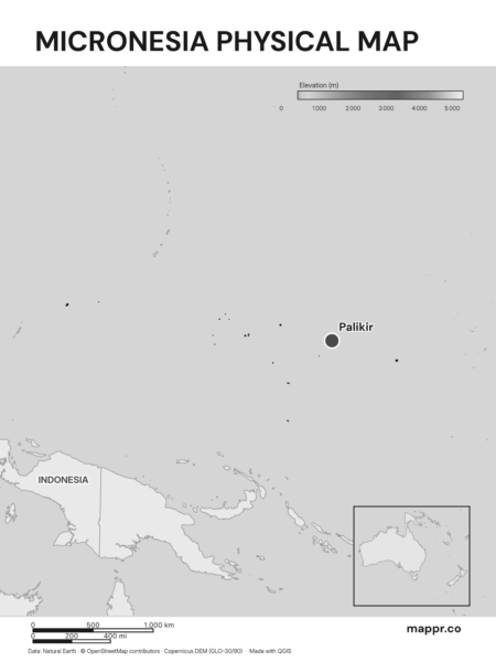 Map featuring Palikir, the capital of Micronesia, with rich topographical detail (black and white).
